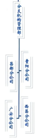 公司分支機(jī)構(gòu)圖.png